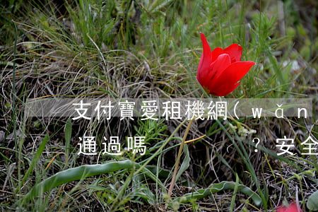 支付寶愛租機網(wǎng)貸逾期審核會通過嗎？安全嗎？